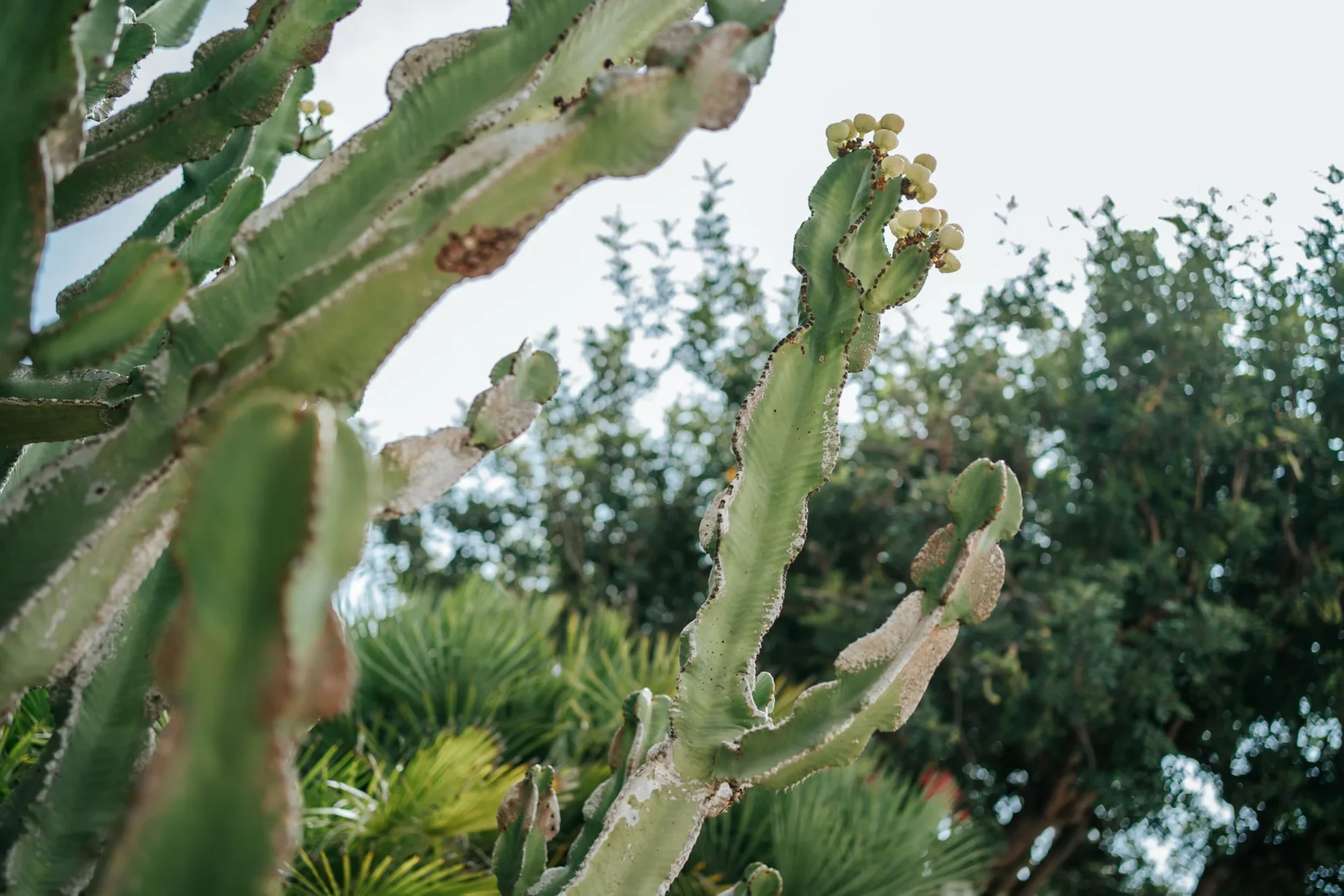 Andrea & Rubén — wedding in Agua Amarga, Cabo de Gata, Almería (9)